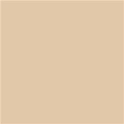 Roscolux 02 - Bastard Amber
