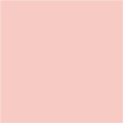 Roscolux 05 - Rose Tint