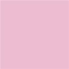 Roscolux 33 - No Color Pink