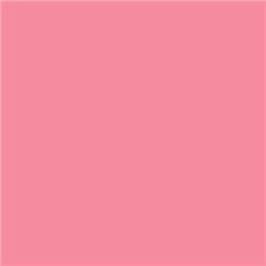 Roscolux 34 - Floral Pink 24"x25