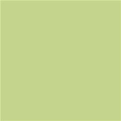 Roscolux 88 - Light Green