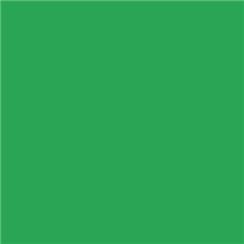 Roscolux 89 - Moss Green