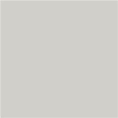 Roscolux 397 - Pale Grey