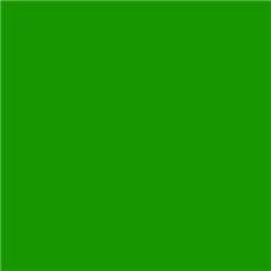 Roscolux 2004 - Storaro Green