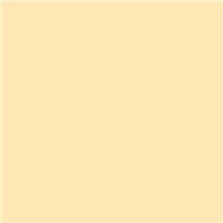 Roscolux 3409 - Roscosun 1/4 CTO
