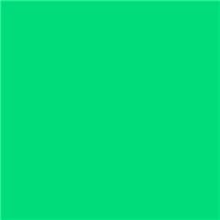 Lee Filters 124 - Dark Green