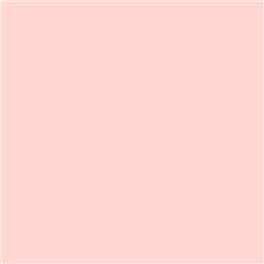 Lee Filters 154 - Pale Rose