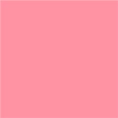 Lee Filters 157 - Pink