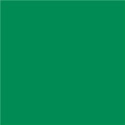 Lee Filters 327 - Forest Green