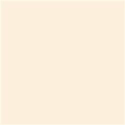 Lee Filters 443 - Quarter C.T. Straw