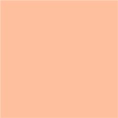 Lee Filters 776 - Nectarine