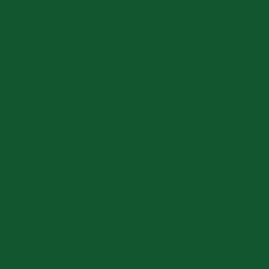 GamColor 655 - Rich Green