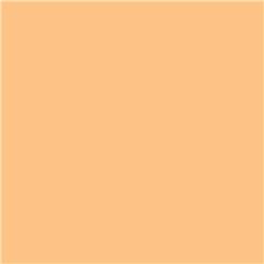 GamColor 1549 - 1/2 CTO 48"x25