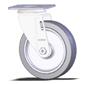Colson 5.0" Swivel Caster #2.05256.445