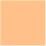 Roscolux 09 - Pale Amber Gold