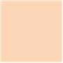 Lee Filters 009 - Pale Amber Gold