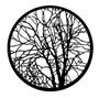 Gam Pattern 216 - Bare Branches