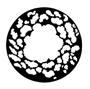 Gam Pattern 764 - Vignette 2